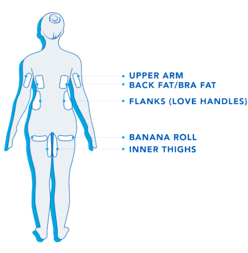 female-howcsworks copy1